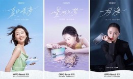 海安网友爆料新闻视频大全,新闻视频大全精彩回顾